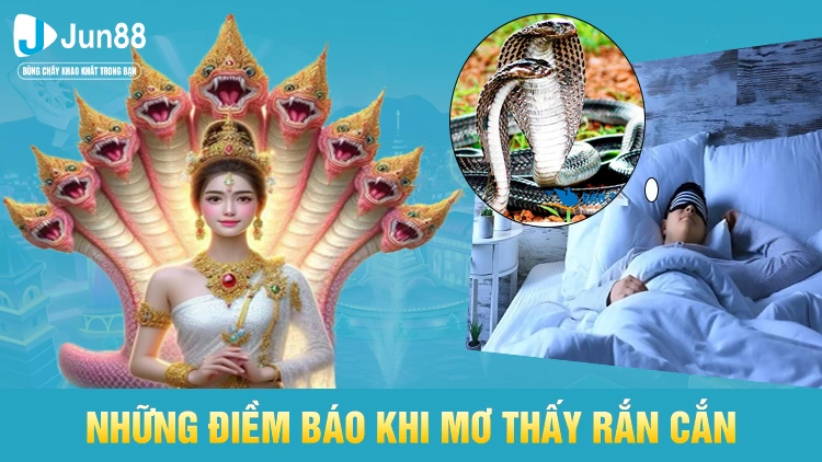 Điềm báo khi mơ thấy rắn