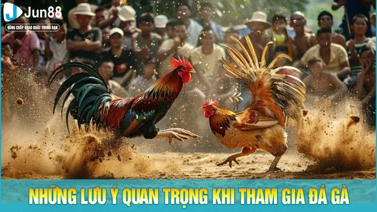 Những lưu ý khi tham gia chọi gà trực tuyến cho kê thủ