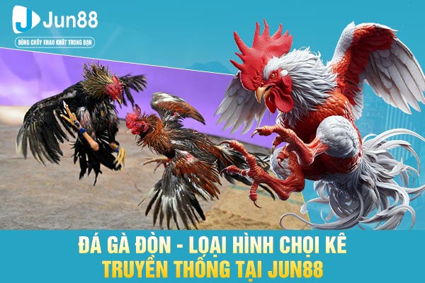 Đá Gà Đòn - Loại Hình Chọi Kê Truyền Thống Tại JUN88 