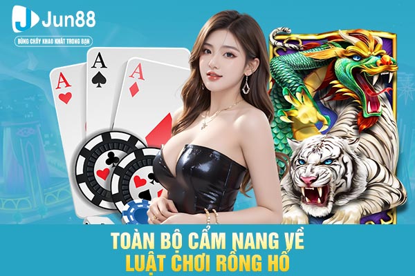 Toàn bộ cẩm nang về luật chơi Rồng Hổ